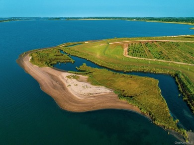 Behind a lush privet hedge, this expansive 102+ acre waterside - photo 39