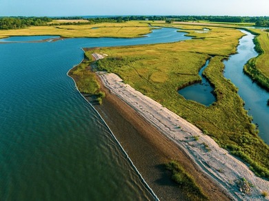 Behind a lush privet hedge, this expansive 102+ acre waterside - photo 40