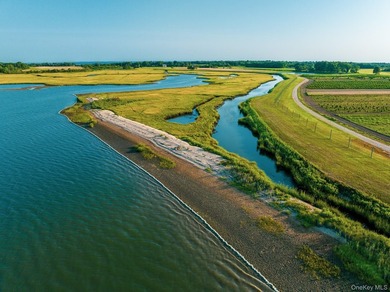 Behind a lush privet hedge, this expansive 102+ acre waterside - photo 41