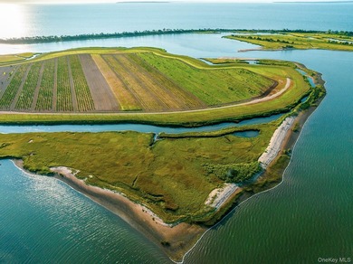 Behind a lush privet hedge, this expansive 102+ acre waterside - photo 42