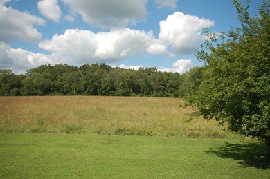 11.71 acres NEC of Oakley Ave/15th & Vermillion River. 8.3 ac - photo 2