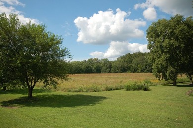 11.71 acres NEC of Oakley Ave/15th & Vermillion River. 8.3 ac - photo 3