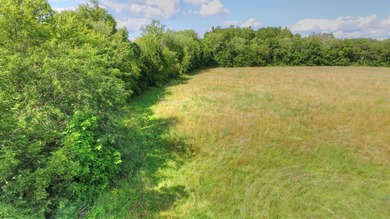 11.71 acres NEC of Oakley Ave/15th & Vermillion River. 8.3 ac - photo 4