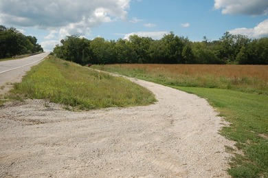 11.71 acres NEC of Oakley Ave/15th & Vermillion River. 8.3 ac - photo 7