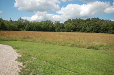 11.71 acres NEC of Oakley Ave/15th & Vermillion River. 8.3 ac - photo 8