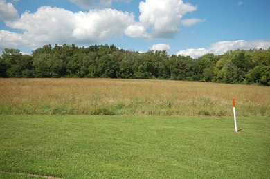 11.71 acres NEC of Oakley Ave/15th & Vermillion River. 8.3 ac - photo 9