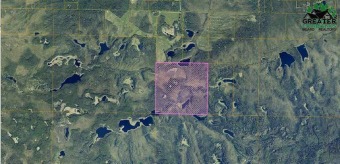 (private lake) Acreage For Sale in Fairbanks Alaska