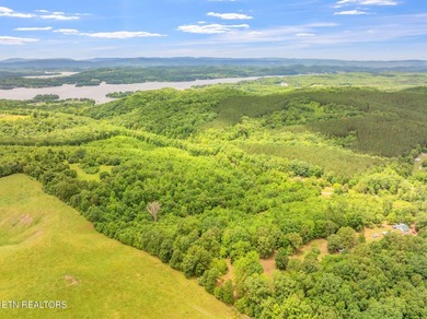70 Acres of Unrestricted Land - Grigsby Hollow Rd, Kingston, TN - photo 11