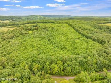 70 Acres of Unrestricted Land - Grigsby Hollow Rd, Kingston, TN - photo 12