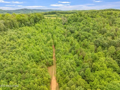 70 Acres of Unrestricted Land - Grigsby Hollow Rd, Kingston, TN - photo 13