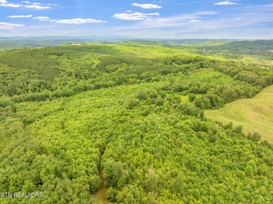 70 Acres of Unrestricted Land - Grigsby Hollow Rd, Kingston, TN - photo 14