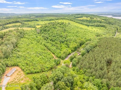 70 Acres of Unrestricted Land - Grigsby Hollow Rd, Kingston, TN - photo 15