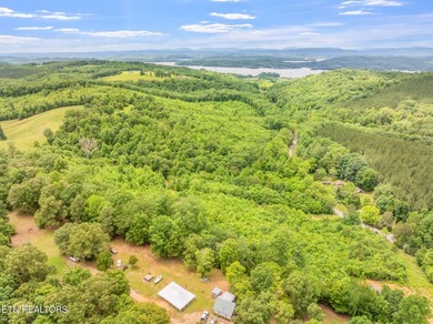 70 Acres of Unrestricted Land - Grigsby Hollow Rd, Kingston, TN - photo 16