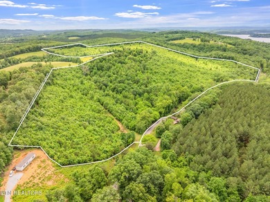 70 Acres of Unrestricted Land - Grigsby Hollow Rd, Kingston, TN - photo 17