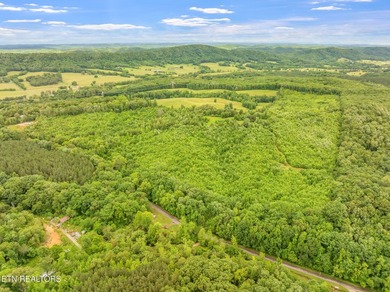 70 Acres of Unrestricted Land - Grigsby Hollow Rd, Kingston, TN - photo 18