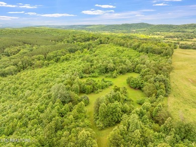 70 Acres of Unrestricted Land - Grigsby Hollow Rd, Kingston, TN - photo 19
