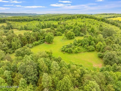 70 Acres of Unrestricted Land - Grigsby Hollow Rd, Kingston, TN - photo 20