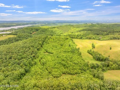 70 Acres of Unrestricted Land - Grigsby Hollow Rd, Kingston, TN - photo 21