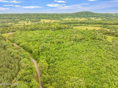 70 Acres of Unrestricted Land - Grigsby Hollow Rd, Kingston, TN - photo 22