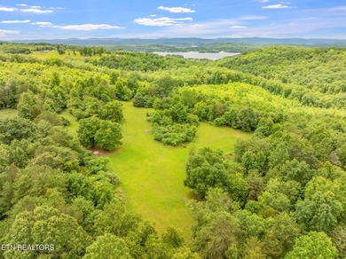 70 Acres of Unrestricted Land - Grigsby Hollow Rd, Kingston, TN - photo 23