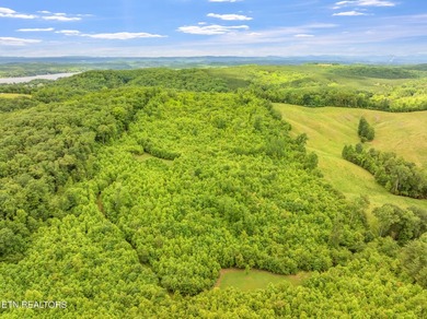 70 Acres of Unrestricted Land - Grigsby Hollow Rd, Kingston, TN - photo 24