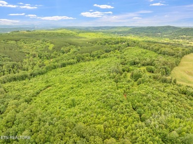 70 Acres of Unrestricted Land - Grigsby Hollow Rd, Kingston, TN - photo 25