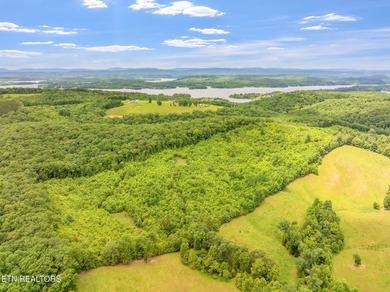 70 Acres of Unrestricted Land - Grigsby Hollow Rd, Kingston, TN - photo 26