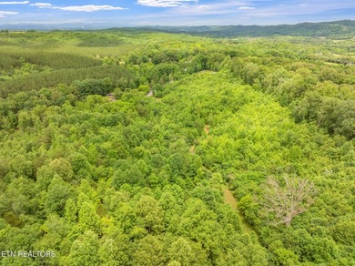 70 Acres of Unrestricted Land - Grigsby Hollow Rd, Kingston, TN - photo 27