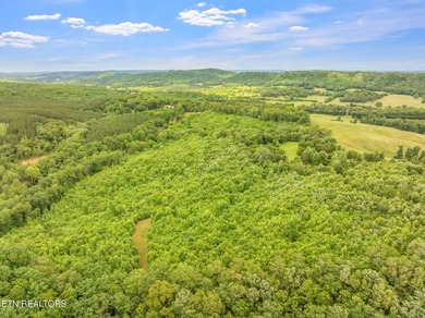 70 Acres of Unrestricted Land - Grigsby Hollow Rd, Kingston, TN - photo 28