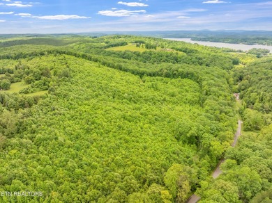 70 Acres of Unrestricted Land - Grigsby Hollow Rd, Kingston, TN - photo 29