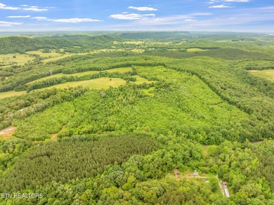 70 Acres of Unrestricted Land - Grigsby Hollow Rd, Kingston, TN - photo 30