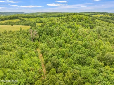 70 Acres of Unrestricted Land - Grigsby Hollow Rd, Kingston, TN - photo 31