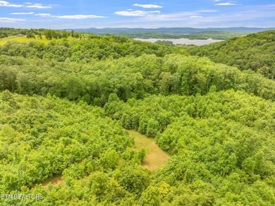 70 Acres of Unrestricted Land - Grigsby Hollow Rd, Kingston, TN - photo 32