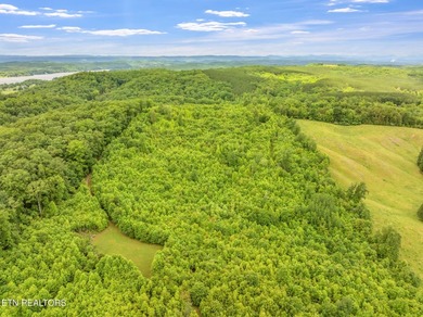 70 Acres of Unrestricted Land - Grigsby Hollow Rd, Kingston, TN - photo 33