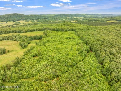70 Acres of Unrestricted Land - Grigsby Hollow Rd, Kingston, TN - photo 34