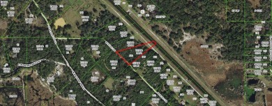 Lake Acreage Sale Pending in Hernando, Florida