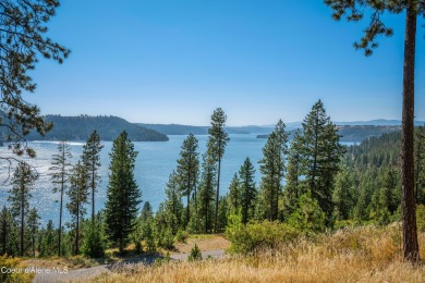 Chatcolet Lake Lot For Sale in Harrison Idaho