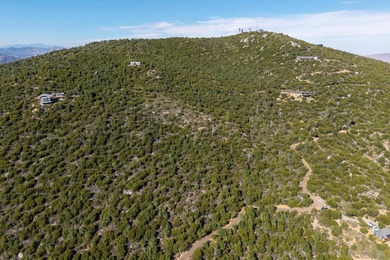 Building on this 12.06-acre parcel would present unparalleled - photo 11