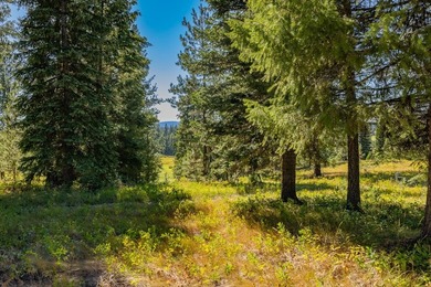 Active Lifestyle Meets Mountain Serenity - Jug Mountain Ranch - photo 13