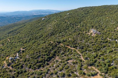 Building on this 12.06-acre parcel would present unparalleled - photo 14