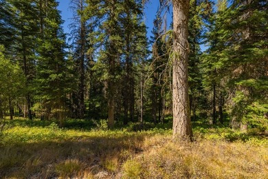 Active Lifestyle Meets Mountain Serenity - Jug Mountain Ranch - photo 21