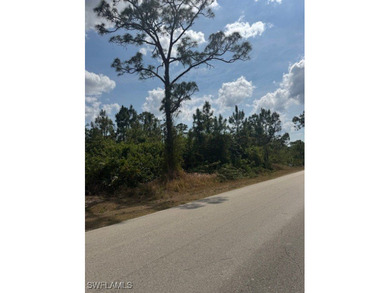 Lehigh Acres Area Lot For Sale in Lehigh Acres Florida