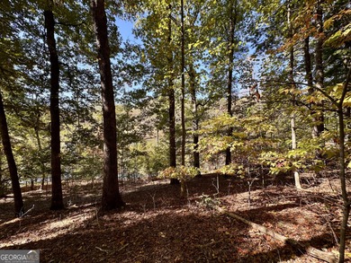 Build your dream retreat on Lake Laceola! Discover mountain-lake - photo 11