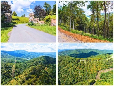 (private lake, pond, creek) Acreage For Sale in Butler Tennessee