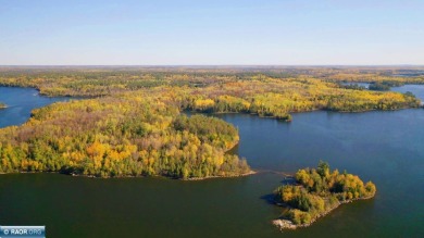 Lake Vermilion Acreage For Sale in Cook Minnesota