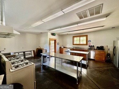 Build your dream retreat on Lake Laceola! Discover mountain-lake - photo 19
