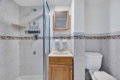 Charming Split-Level Gem in South Wantagh tucked away on a quiet - photo 19