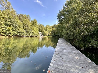 Build your dream retreat on Lake Laceola! Discover mountain-lake - photo 24