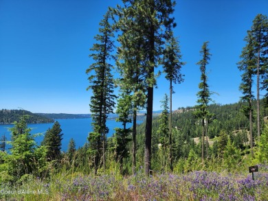 Chatcolet Lake Lot For Sale in Harrison Idaho