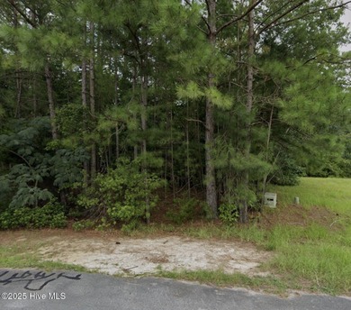 Neuse River Lot For Sale in Havelock North Carolina
